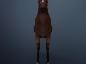 horse 3D मॉडल