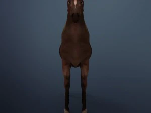 horse 3D Model