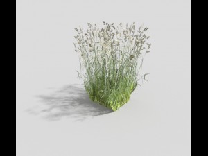 low poly grass 3Dモデル