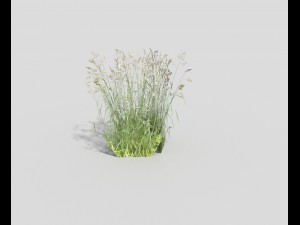 low poly grass 3Dモデル