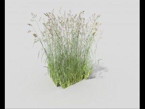 low poly grass 3Dモデル