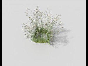 low poly grass 3Dモデル
