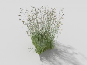 low poly grass 3Dモデル