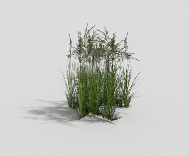 low poly grass 3D Model .c4d .max .obj .3ds .fbx .stl .blend 