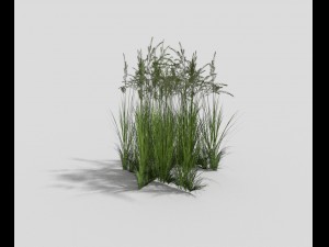low poly grass Modèle 3D