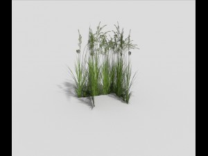 low poly grass 3D Model