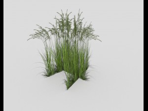 low poly grass 3D Model