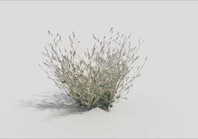 low poly grass 3D Model .c4d .max .obj .3ds .fbx .stl .blend 