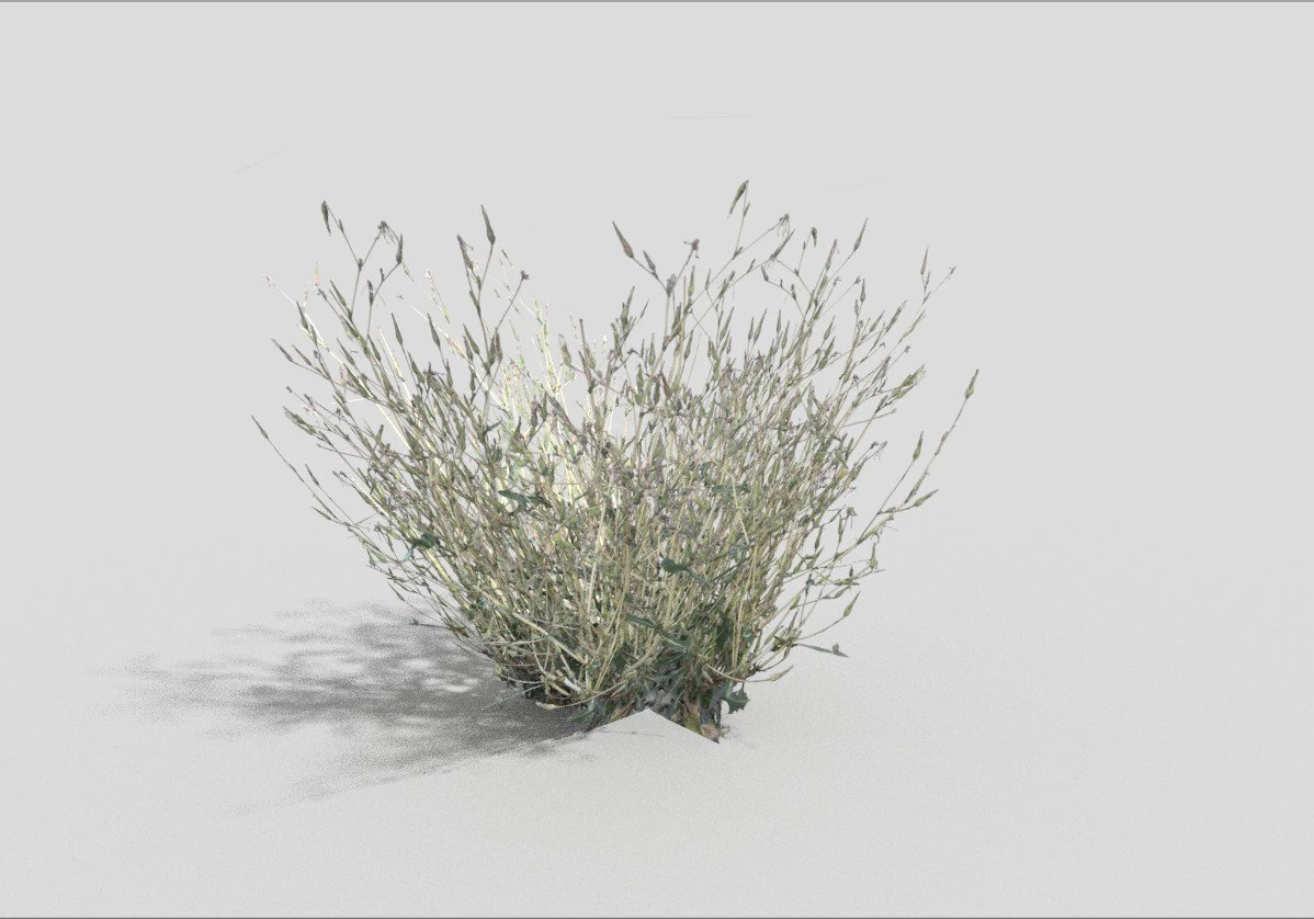 low poly grass 3D Model .c4d .max .obj .3ds .fbx .stl .blend
