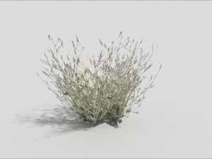 low poly grass 3D Model
