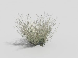 trawa niskopolimerowa Model 3D