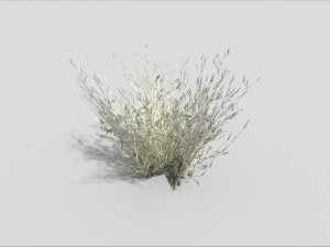 low poly grass 3D Model
