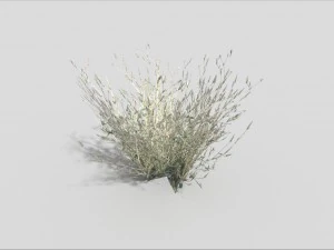 low poly grass 3D Model