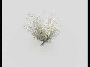 low poly grass 3D Model