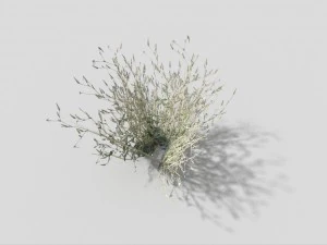 low poly grass 3D Model