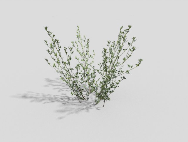 low poly grass Modello 3D .c4d .max .obj .3ds .fbx .stl .blend 