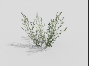 low poly grass 3Dモデル