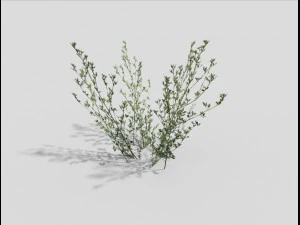 herbe low poly Modèle 3D