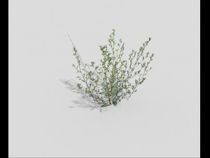 low poly grass Modello 3D