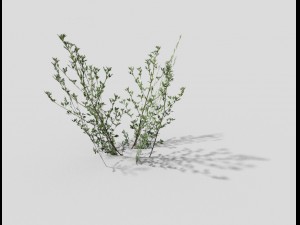 low poly grass Modello 3D