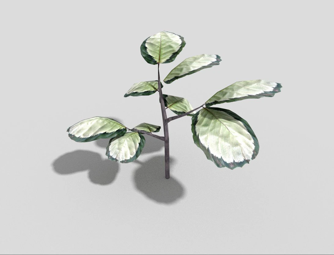 low poly plant 3D Model .c4d .max .obj .3ds .fbx .stl .blend 