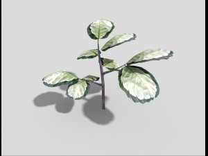low poly plant 3D Model