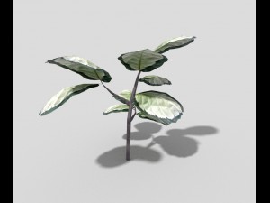 low poly plant 3D Model