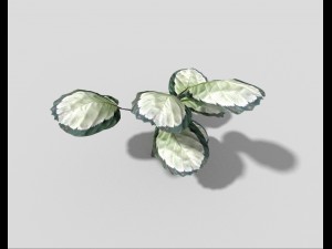 low poly plant 3D Model