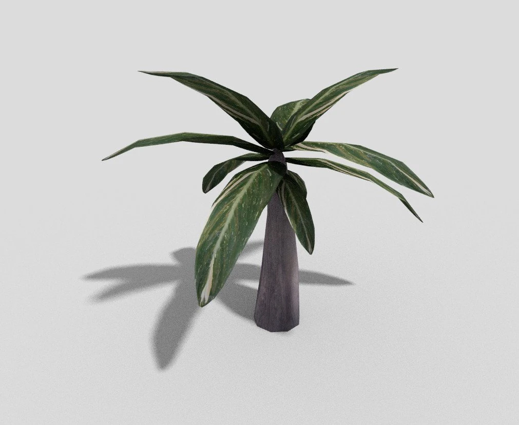 low poly plant 3D Model .c4d .max .obj .3ds .fbx .stl .blend 
