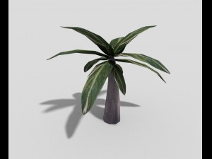low poly plant 3Dモデル