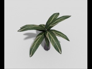 low poly plant 3D Model