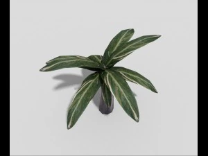 low poly plant 3D Model