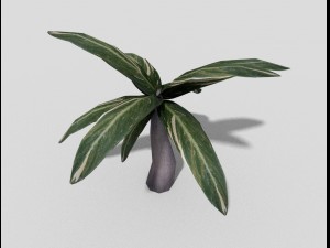 low poly plant 3D Model