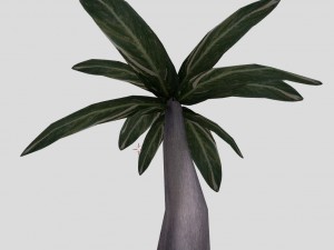 low poly plant 3D Model