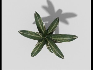 low poly plant 3D Model