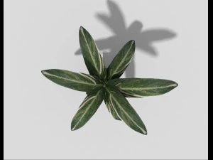 low poly plant 3D Model