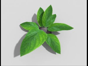 planta de baixo poli Modelo 3D