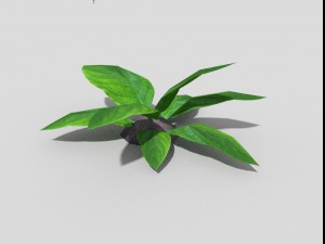 low poly plant Model 3D