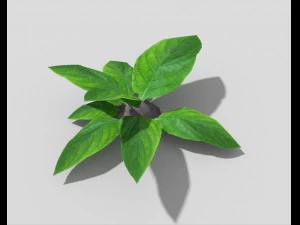 planta de baixo poli Modelo 3D