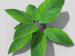 planta de baixo poli Modelo 3D