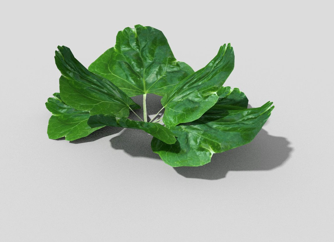 low poly plant 3D Model .c4d .max .obj .3ds .fbx .stl .blend 