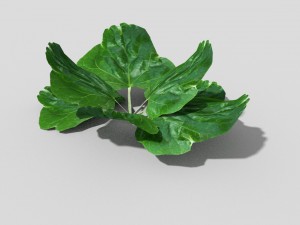 low poly plant 3D Model
