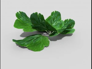 low poly plant 3D Model