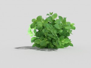 low poly plant 3D-Modell