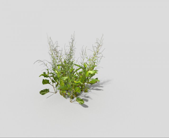 low poly plant 3D Model .c4d .max .obj .3ds .fbx .stl .blend 