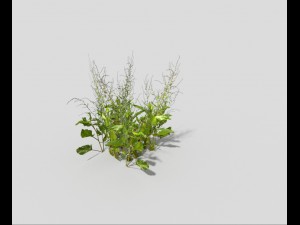 low poly plant 3Dモデル
