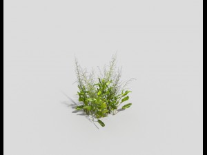 low poly plant 3D Model