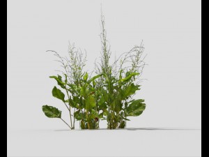 low poly plant 3D Model