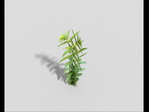 low poly plant 3D Model
