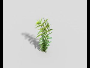 low poly plant 3D Model